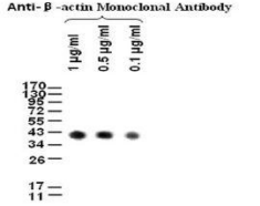 5f61819636c86.png image.png