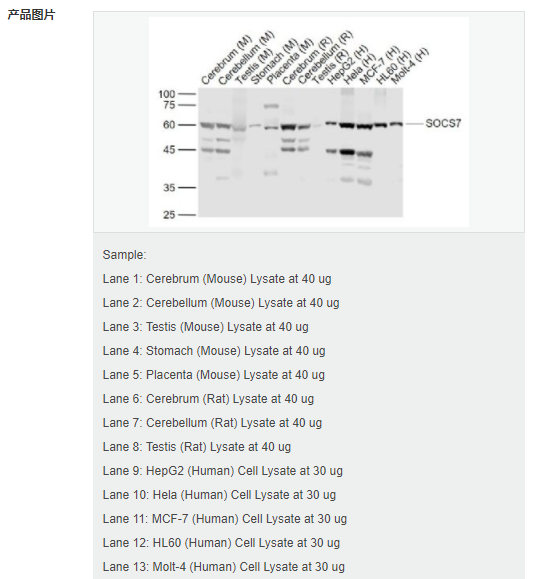 6052a9152e918.png image.png