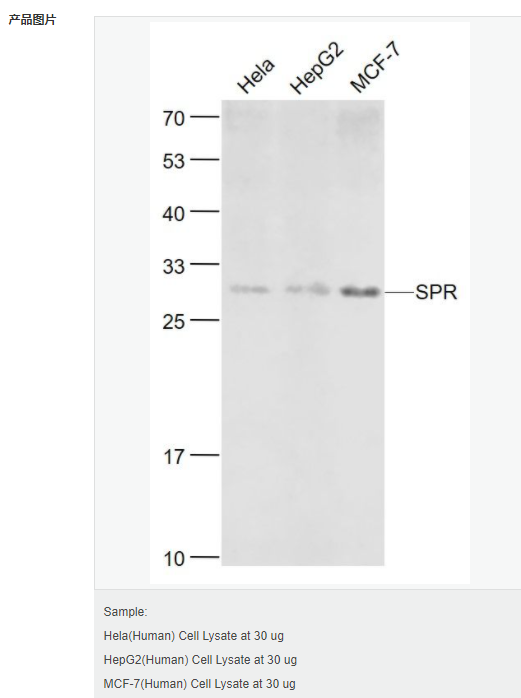 6052bbbf2a307.png image.png