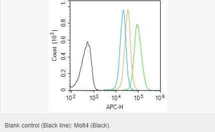 6052c7039a0c8.png image.png