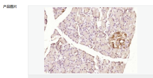 60541081d2708.png image.png