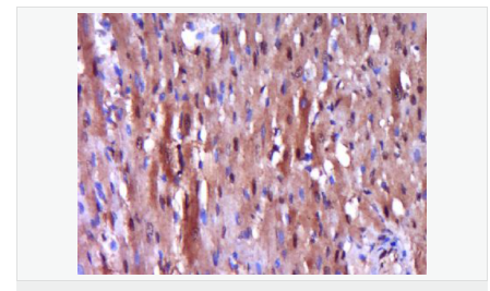 60543c79f0aad.png image.png