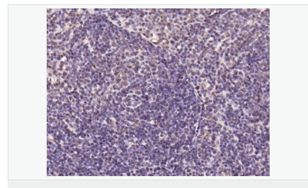 60543fb0f21b5.png image.png