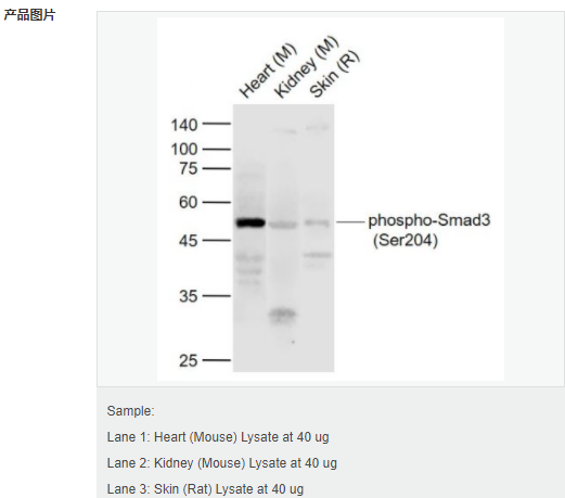 6058010cb5df9.png image.png