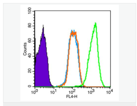 6058013be5c48.png image.png