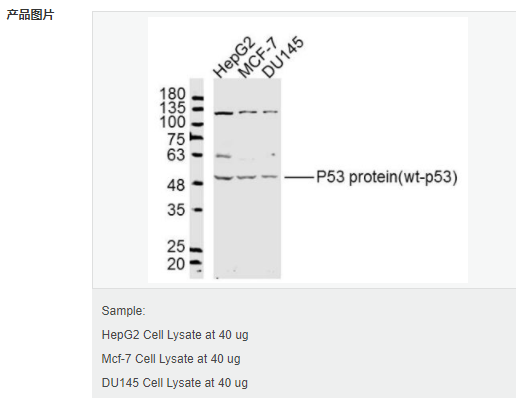 605803c04c005.png image.png