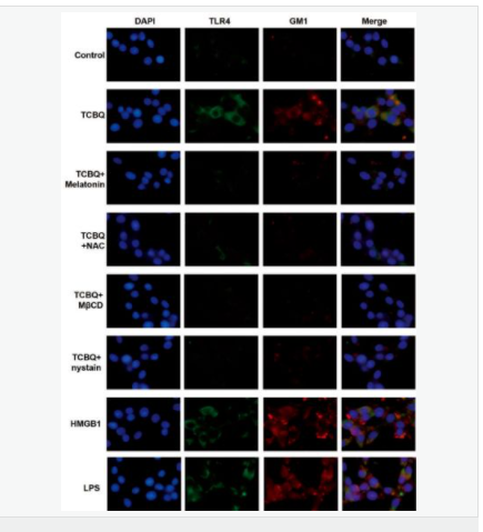 60580468c7cb2.png image.png