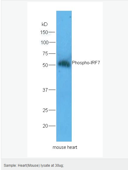 60583a7492d62.png image.png