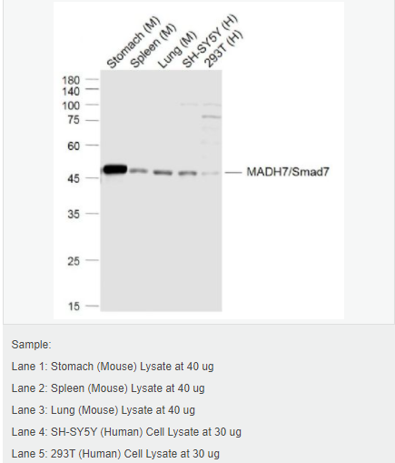 605841c5827ee.png image.png