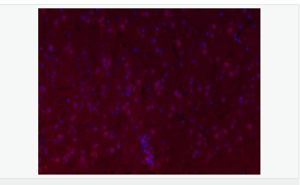 6058440ff2155.png image.png