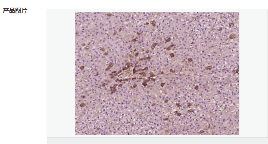 6058509351999.png image.png