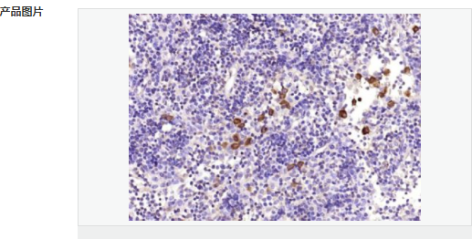 605854479346e.png image.png