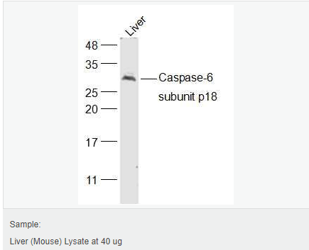 6059494997368.png image.png