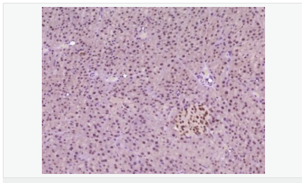 605c40bd07394.png image.png