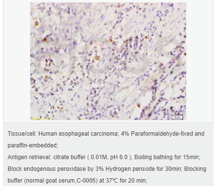 605d7ef321ff2.png image.png