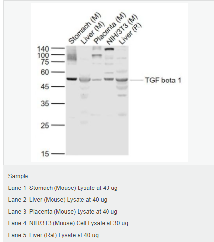 605d8432bda6a.png image.png