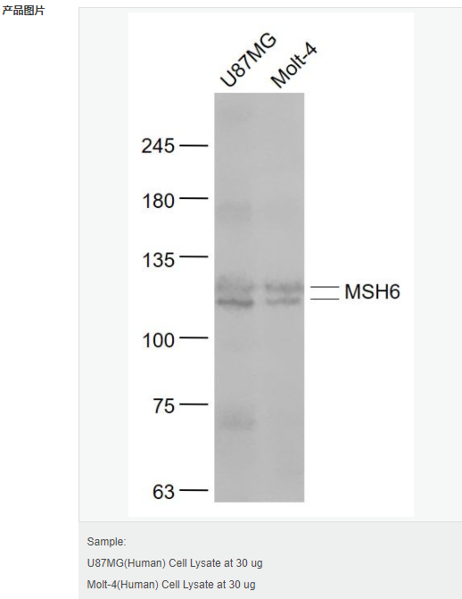 605d931baadb5.png image.png