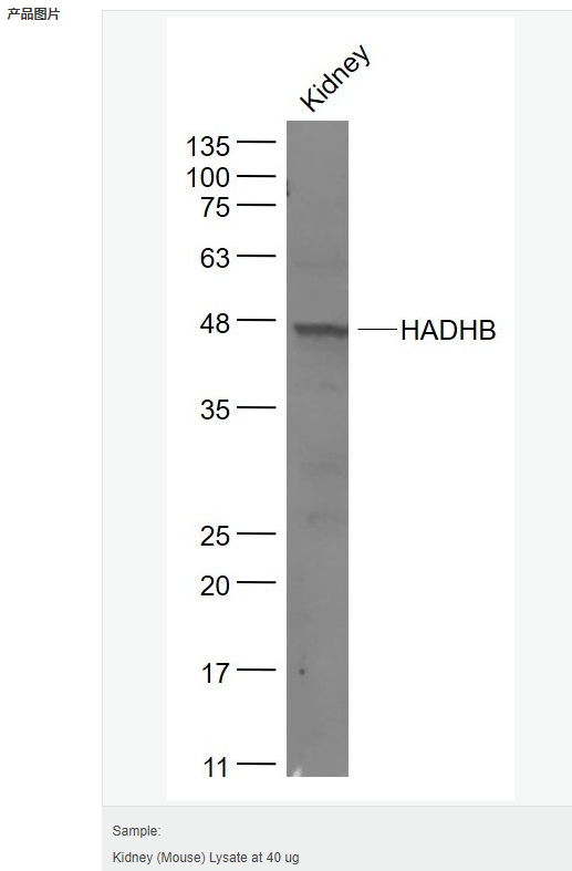 605d96aa2c3a7.png image.png