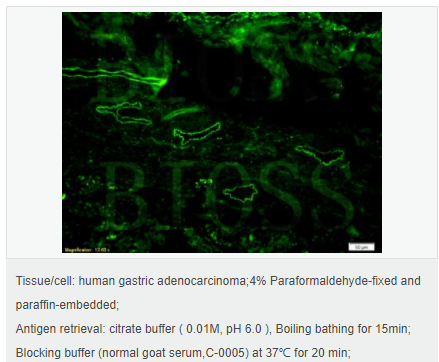 6064253e6d4c7.png image.png