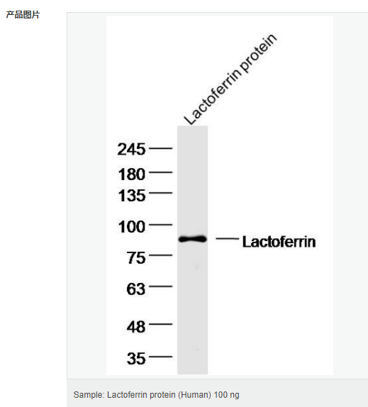 6066c6179f83c.png image.png