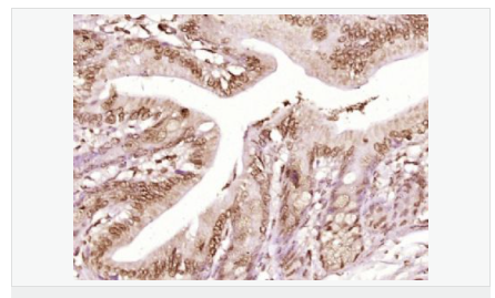 6066c719d9d00.png image.png