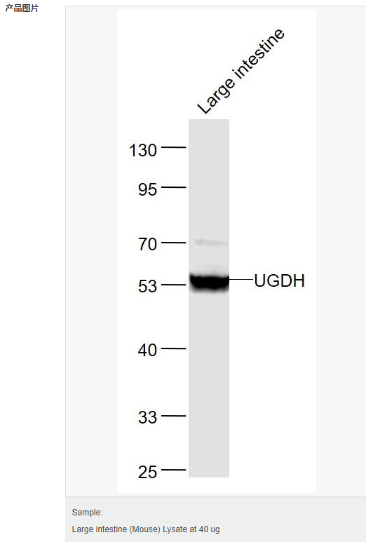 606bd468f1e47.png image.png