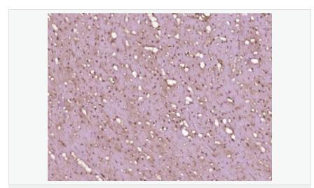 60763dba48263.png image.png