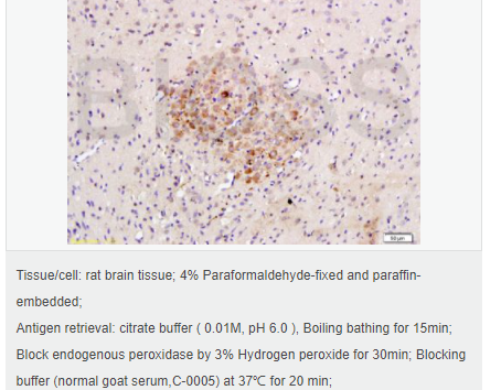 607640b5b311e.png image.png