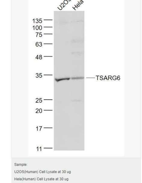 607646f22c1e9.png image.png