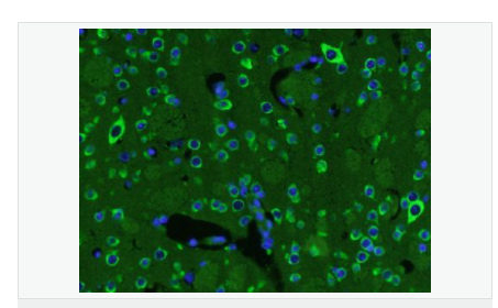 6076486022261.png image.png