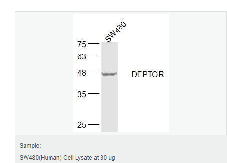 6076524d0bd38.png image.png