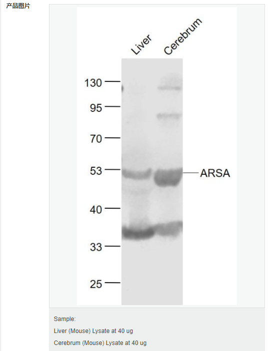 607657de70c1c.png image.png