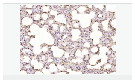 60765956e556a.png image.png