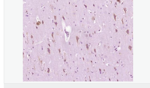 607661d8081a9.png image.png