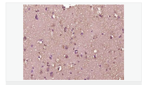 6076816f5e937.png image.png