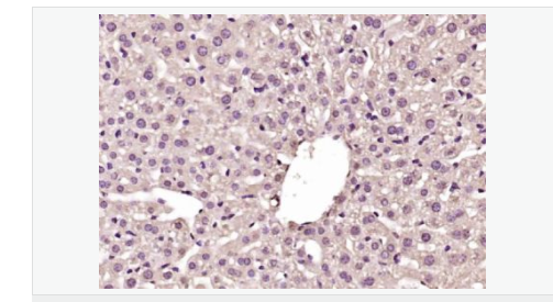 6076886b4c6fd.png image.png