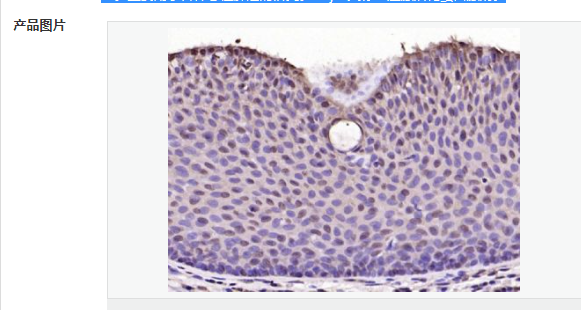 6077a0712ff83.png image.png