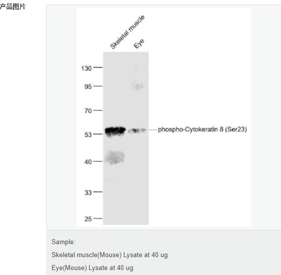 6078ee9f22a7f.png image.png