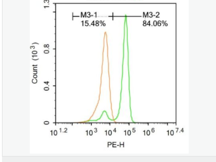 607946cd82f81.png image.png