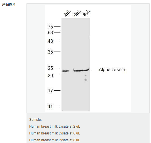 60794a3b7fbc5.png image.png