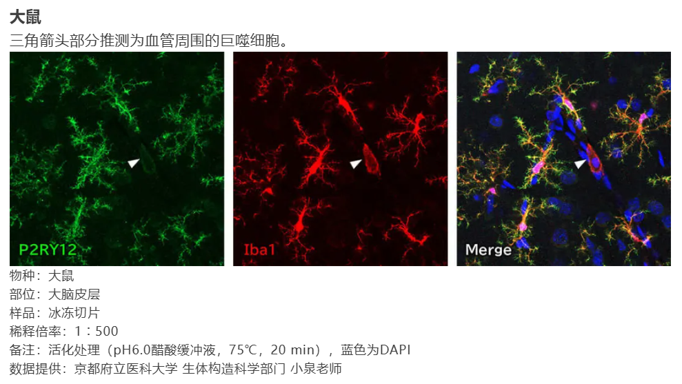 67ab013da7615.png image.png